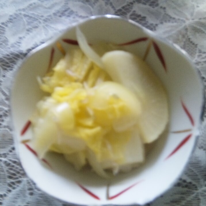 冬野菜沢山 煮物